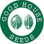 RED HORSE  10pcs regular (Good House Seeds)