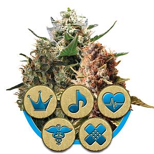 MEDICAL MIX 3pcs feminized (Royal Queen Seeds Medical)