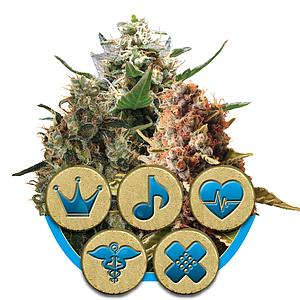 MEDICAL MIX 5pcs feminized (Royal Queen Seeds Medical)