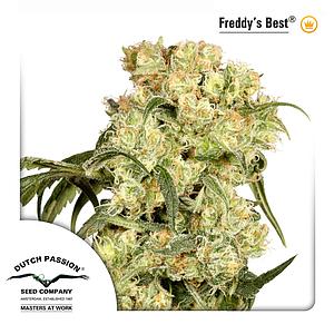 FREDDY'S BEST ® 5pcs feminized (Dutch Passion)