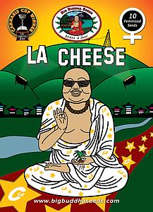 L.A. CHEESE 10pcs feminized (Big Buddha Seeds)