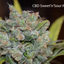 SWEET & SOUR WIDOW 5pcs regular (CBD Crew)